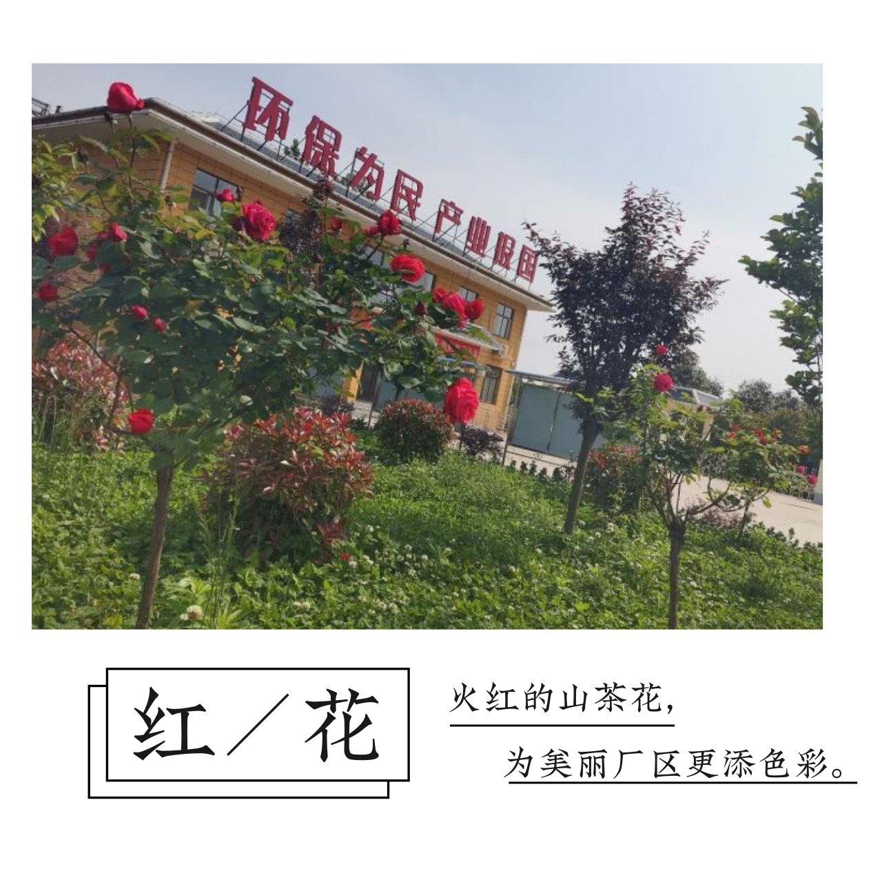 首页-人生就是博