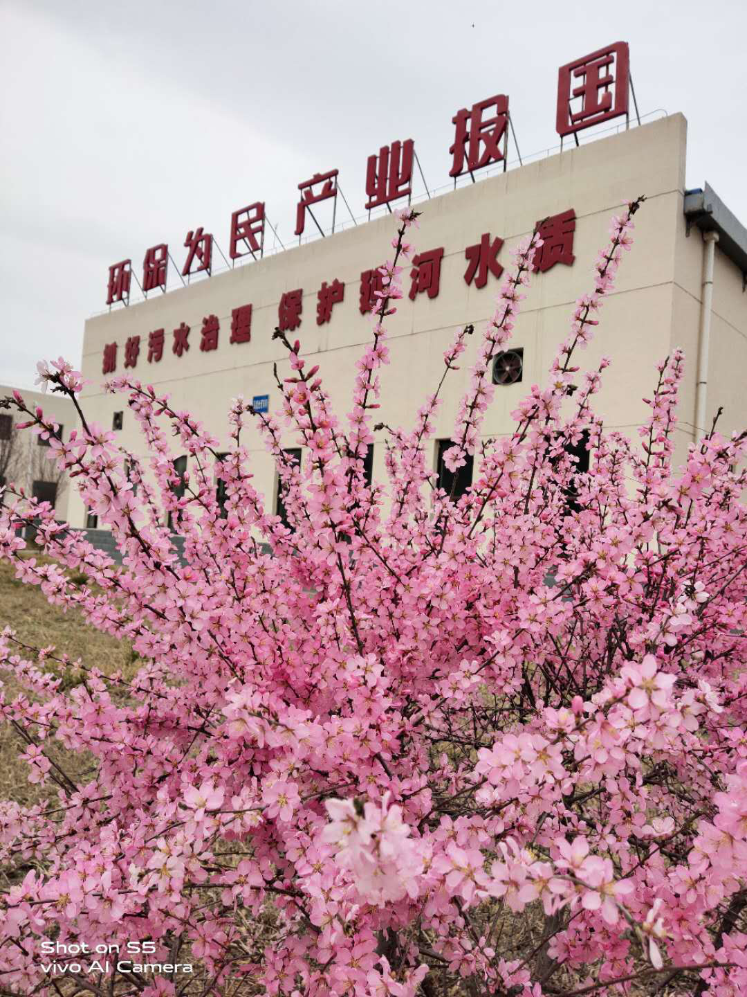 首页-人生就是博