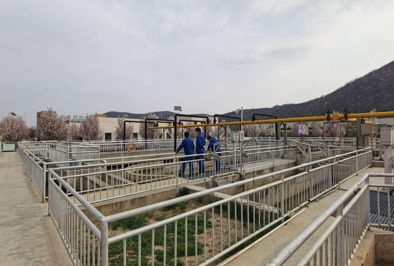 首页-人生就是博