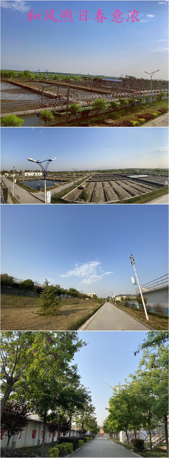 首页-人生就是博