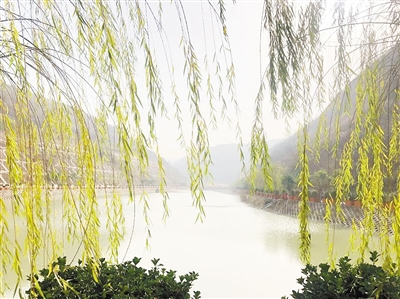 中国情形报：守护三秦大地绿水青山——人生就是博集团建设以来，，，成为陕西污染防治的排头兵