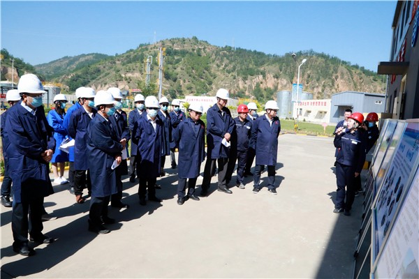 人生就是博集团复工复产促增添项目观摩聚会与会职员走进环保保隆生态三秦在延在铜项目